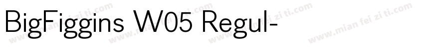 BigFiggins W05 Regul字体转换